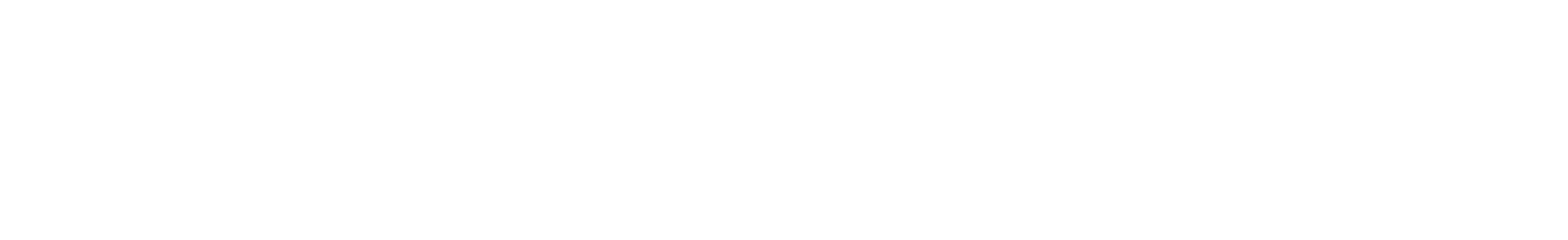 Ozi Trans 